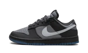 Dunk Low "Anthracite" Street Movement Performance Motion