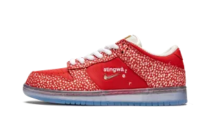 SB Dunk Low "Stingwater - Magic Mushroom" Active Fit