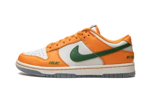 Daily Riding Water Resistant Dunk Low "Florida A&M"