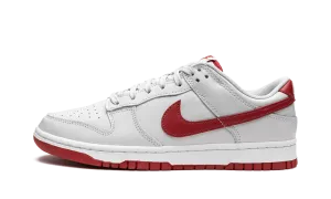Skater Movement Fit Dunk Low "Vast Grey / Varsity Red"
