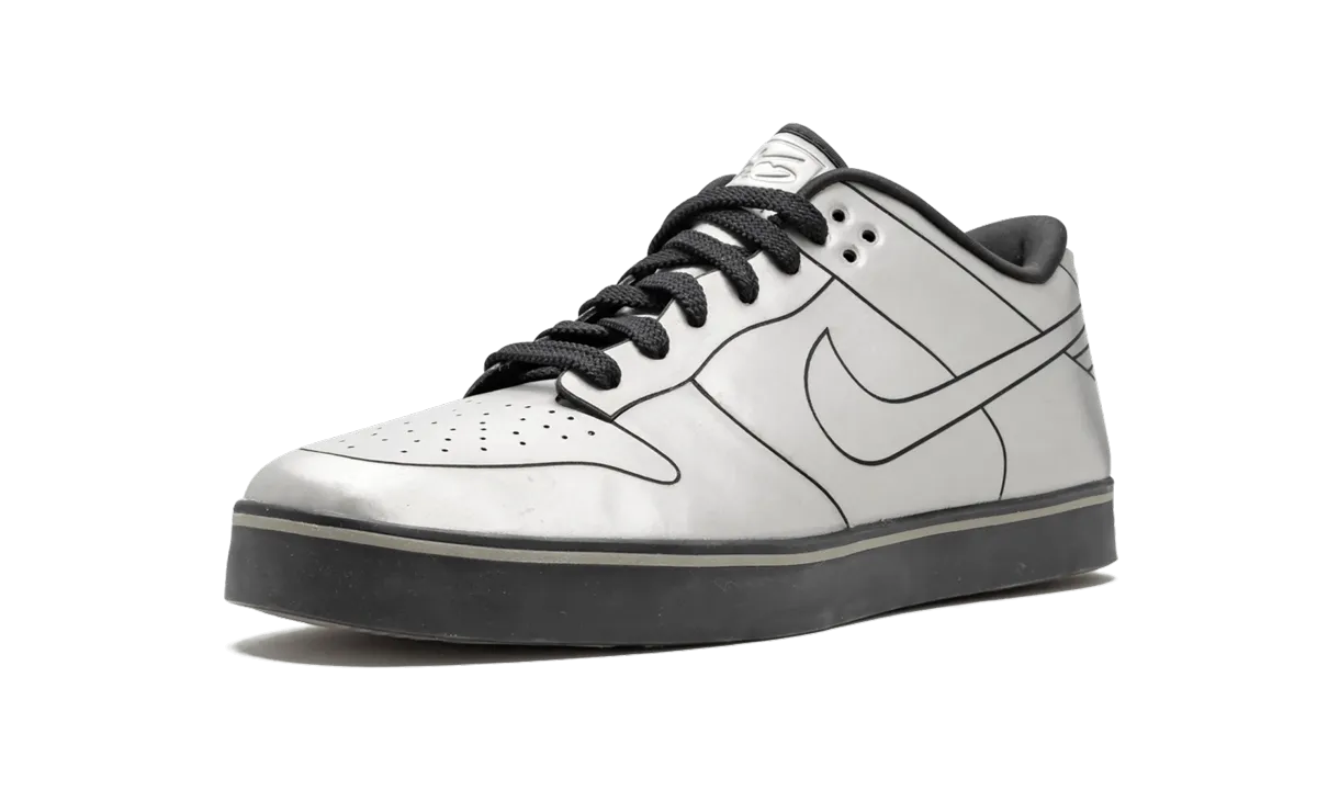 Dunk SE 6.0 "Delorean (2010)" On The Go Pro Flex Fit