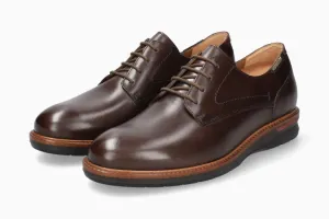 Perfect Match Falco - Dark Brown 6151
