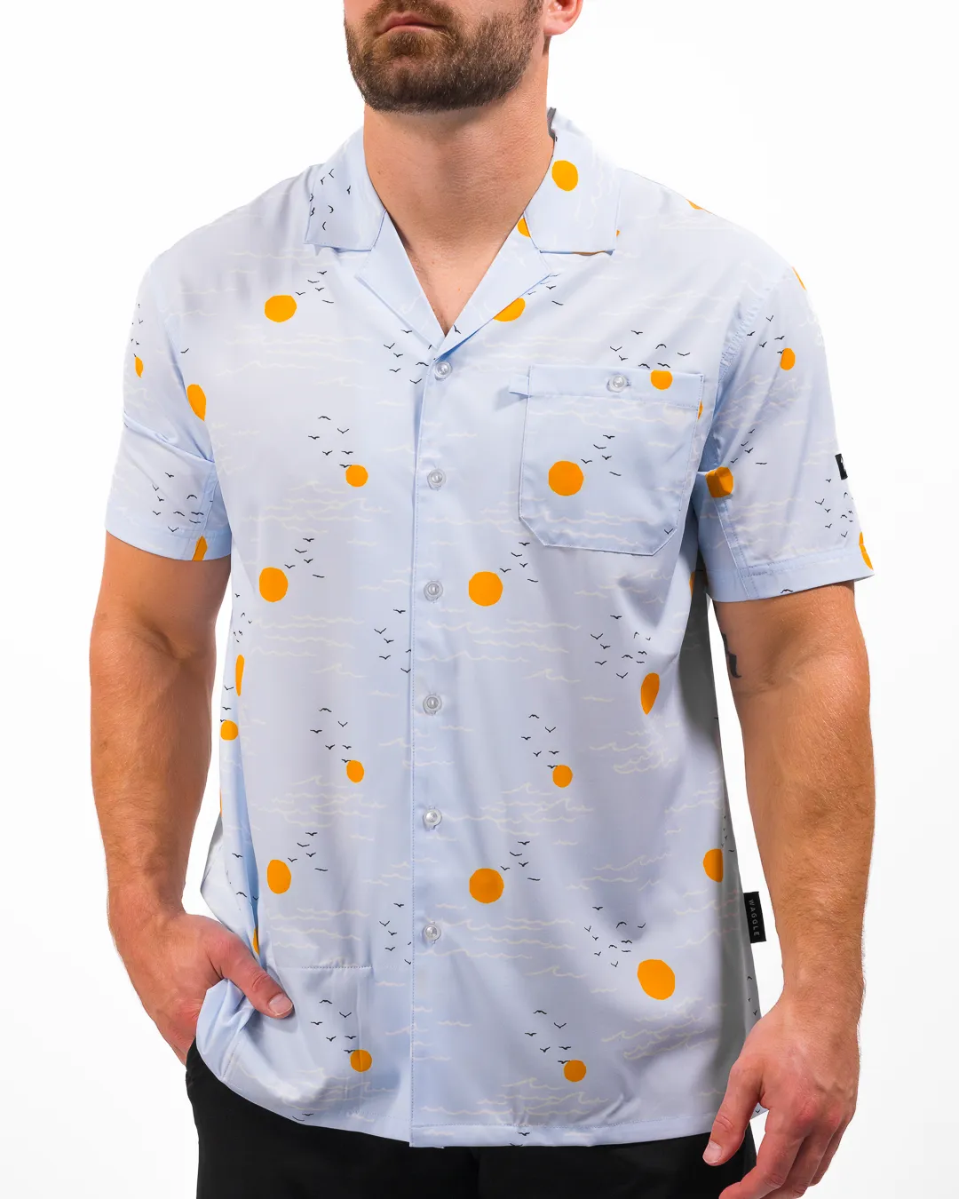 Horizon Men's Button-Down Camp Shirt Hidden Button Placket Special Occasion