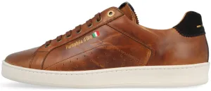 Sun Glow ID50347-Pantofola d'Oro Arona Tortoise Shell
