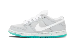 SB Dunk Low Premium "Marty McFly" On The Go Pro Fit Action