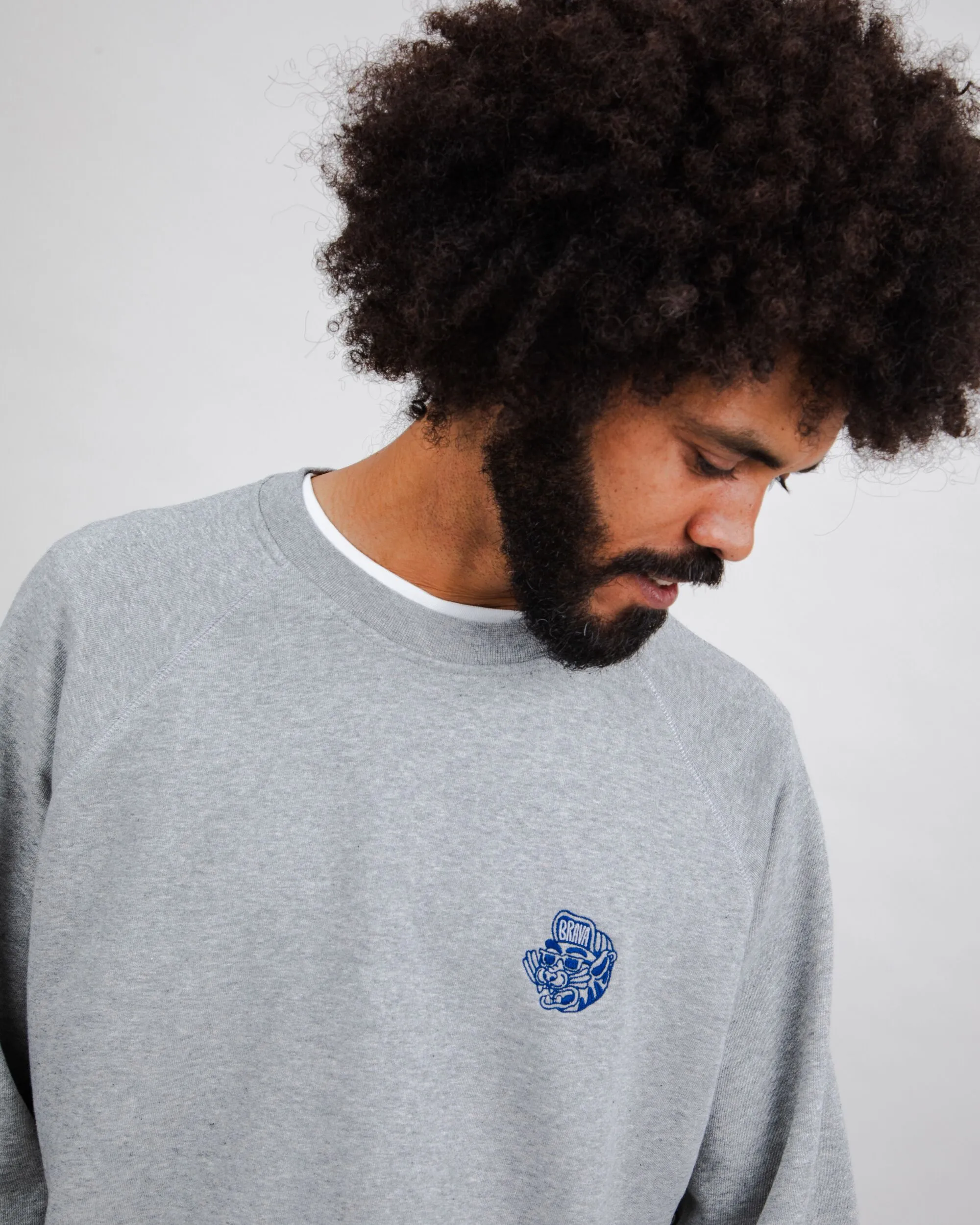 Pastel Shade Asis Percales Tigris Sweatshirt Grey