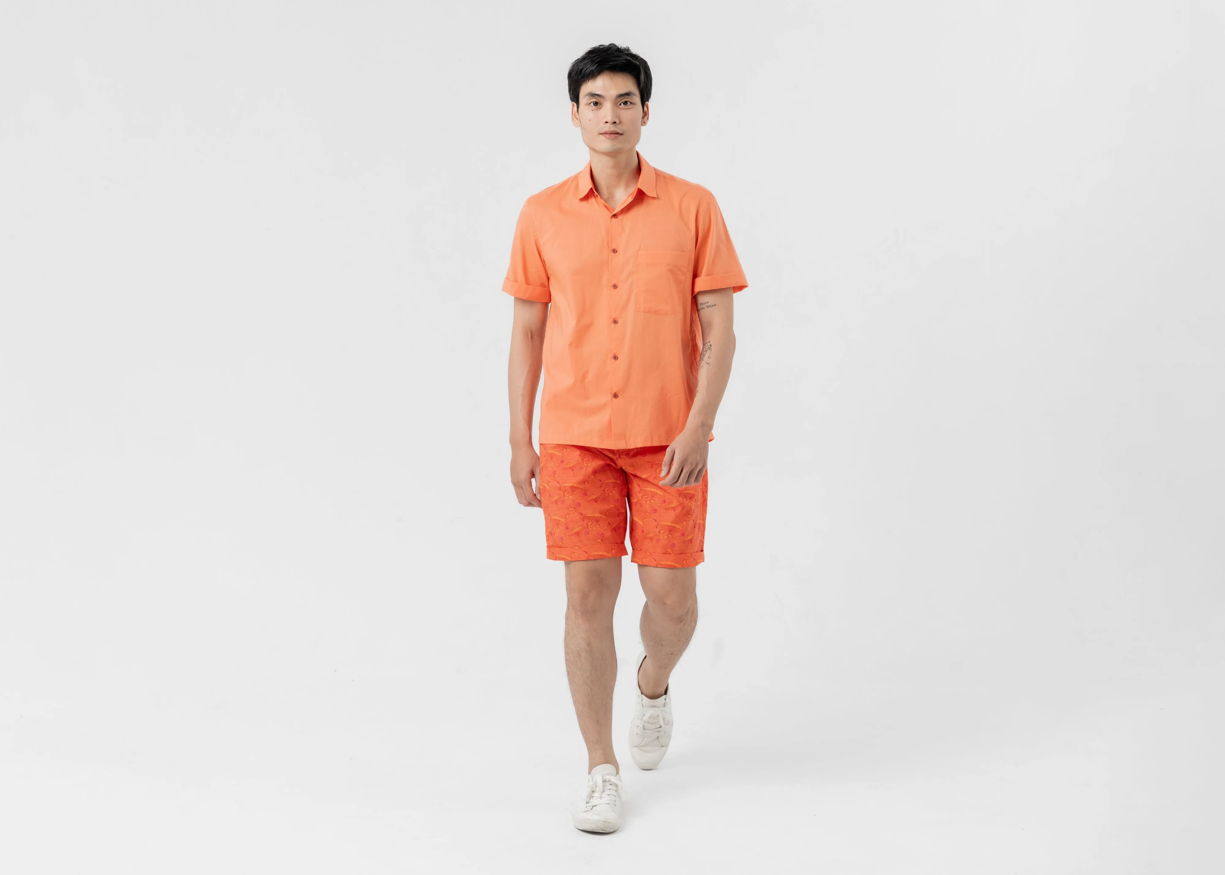 colorful CANIS - METAL DRAGON