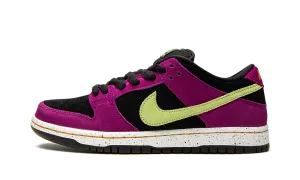 SB Dunk Low "ACG Terra Red Plum" Street Ready Ride